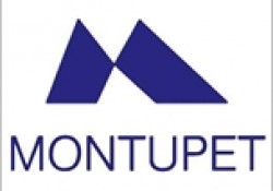 Montupet rebondit après ses résultats semestriels