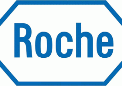 Roche Record Share Discount Shows Bet Novartis to Sell Stake